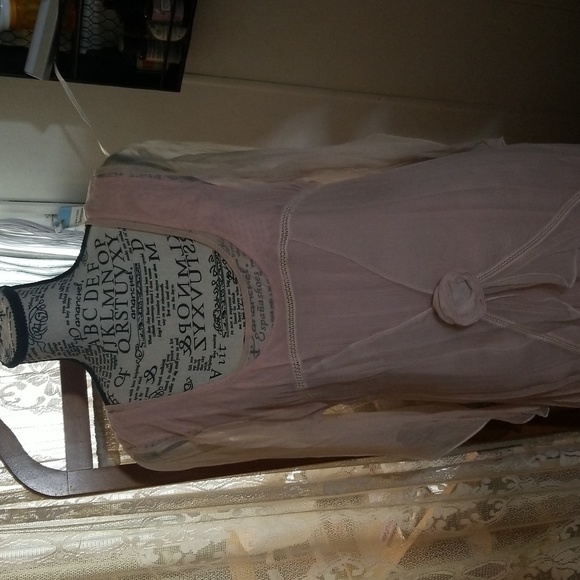 Victorian Trading Company Hopeless Romantic Victorian Pink Chiffon Dress - Picture 2 of 10